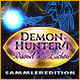 Demon Hunter 4: Rätsel des Lichts Sammleredition