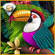 Twistingo: Bird Paradise Sammleredition