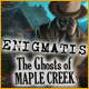 Enigmatis: The Ghosts of Maple Creek 