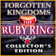 Forgotten Kingdoms: The Ruby Ring Collector's Edition