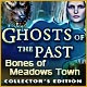 Ghosts of the Past: Bones of Meadows Town Collector's Edition