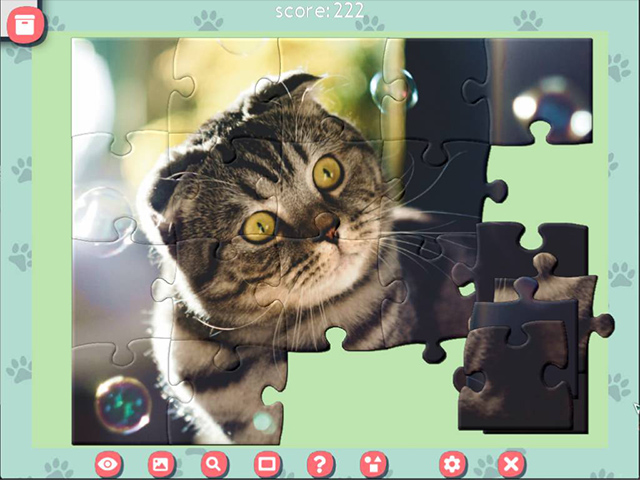 1001 Jigsaw Cute Cats - Screenshot