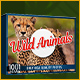 1001 Jigsaw Wild Animals