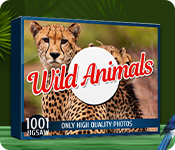 1001 Jigsaw Wild Animals