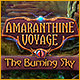 『Amaranthine Voyage: The Burning Sky』を1時間無料で遊ぶ