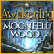 『Awakening:Moonfell Wood』を1時間無料で遊ぶ