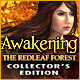 『Awakening: The Redleaf Forestコレクターズエディション』を1時間無料で遊ぶ
