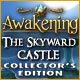 『Awakening: The Skyward Castleコレクターズエディション』を1時間無料で遊ぶ