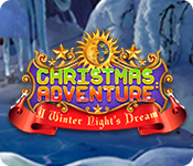 Christmas Adventure: A Winter Night's Dream
