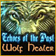 Echoes of the Past: Wolf Healer