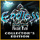 Endless Fables: Frozen Path Collector's Edition