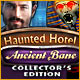 『Haunted Hotel: Ancient Baneコレクターズエディション』を1時間無料で遊ぶ