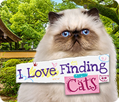 『I Love Finding Cats/』