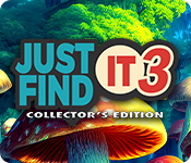 Just Find It 3 Collector's Edition