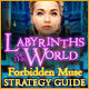 Labyrinths of the World: Forbidden Muse Strategy Guide