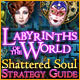Labyrinths of the World: Shattered Soul Strategy Guide