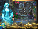 Screenshot for Living Legends: Bound by Wishes Collector's Edition