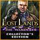 『Lost Lands: The Wandererコレクターズエディション』を1時間無料で遊ぶ