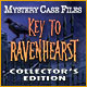 『Mystery Case Files: Key to Ravenhearstコレクターズエディション』を1時間無料で遊ぶ
