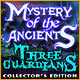 『Mystery of the Ancients: Three Guardiansコレクターズエディション』を1時間無料で遊ぶ