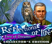 https://bigfishgames-a.akamaihd.net/en_reflections-of-life-tree-of-dreams-ce/reflections-of-life-tree-of-dreams-ce_feature.jpg