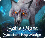 Sable Maze: Sinister Knowledge Walkthrough