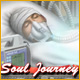 『Soul Journey』を1時間無料で遊ぶ