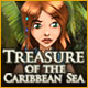 Treasure of the Caribbean Seas