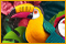 https://bigfishgames-a.akamaihd.net/en_twistingo-bird-paradise/twistingo-bird-paradise_60x40.jpg