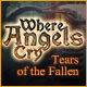 Where Angels Cry: Tears of the Fallen