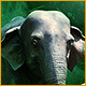 https://bigfishgames-a.akamaihd.net/en_wilderness-mosaic-5-india/wilderness-mosaic-5-india_80x80.jpg
