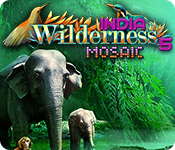https://bigfishgames-a.akamaihd.net/en_wilderness-mosaic-5-india/wilderness-mosaic-5-india_feature.jpg