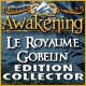 Awakening: Le Royaume Gobelin Edition Collector