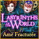 Labyrinths of the World: Ame Fracturée