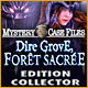 Mystery Case Files: Dire Grove, Forêt Sacrée Edition Collector
