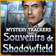 Mystery Trackers: Souvenirs de Shadowfield