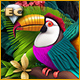 Twistingo: Bird Paradise Édition Collector