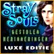 Stray Souls: Gestolen Herinneringen Luxe Editie